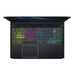 Acer Predator Triton 300 PT315-52-73WT Ausstattung