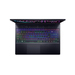 Acer Predator Helios 3D 15 SpatialLabs Edition PH3D15-71-99Z6 Caratteristiche