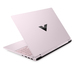 HP Victus Gaming 15-fa2008ns Ausstattung