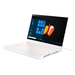 Acer ConceptD 7 Ezel Pro CC715-71-70LU Specs