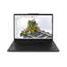 Lenovo ThinkPad P P16s Gen 4 (AMD) 21QR001KUS Características