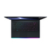 MSI Gaming GE GE66 11UH-265BE Raider Specs
