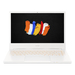 Acer ConceptD 3 CN314-72G NX.C5UEK.004 Specs