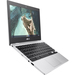 ASUS Chromebook CX1100CNA-GJ0032 Caratteristiche