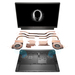 Alienware m15 R5 NAWM15R503 Características