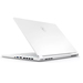 MSI Stealth 15M A11SEK-039CZ Specs MSI Stealth 15M A11SEK-039CZ Specs