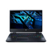 Acer Predator Helios 300 PH315-55-70TS Ausstattung