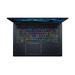 Acer Predator Helios 300 PH317-56-710H Características