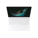 Samsung Galaxy Book2 Pro NP954XED-KB1US Specificaties