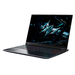 Acer Predator Helios Neo 16S AI PHN16S-71-96M1 Specs