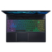 Acer Predator Helios 300 PH315-55-77AS Características