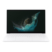 Samsung Galaxy Book2 Pro NP950XED-KF2US Características