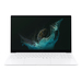 Samsung Galaxy Book2 Pro NP950XED-KB2US Specyfikacje