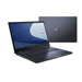 ASUS ExpertBook B2 Flip B2502FBA-N80178X Preis und Ausstattung