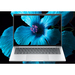 HP EliteBook 8 G1a C72QBUC#ABA Características HP EliteBook 8 G1a C72QBUC#ABA Características