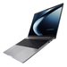 ASUS ExpertBook P3 PM3606CKA-MB0034X Caractéristiques