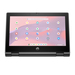 HP Fortis Flip G1i B80PVES Características