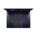 Acer Predator Triton 17 X PTX17-71-99C4 Características