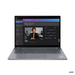 Lenovo ThinkPad T T14s 21F8004FUS Características Lenovo ThinkPad T T14s 21F8004FUS Características