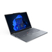 Lenovo ThinkPad X X13 21F2003GUS Specs