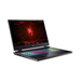 Acer Nitro 17 AN17-51-77UQ Características