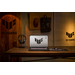 ASUS TUF Gaming A18 FA808PR-S8003W 90NR0PL1-M000T0 Specyfikacje ASUS TUF Gaming A18 FA808PR-S8003W 90NR0PL1-M000T0 Specyfikacje