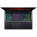 Acer Nitro 17 AN17-41-R8FA Características